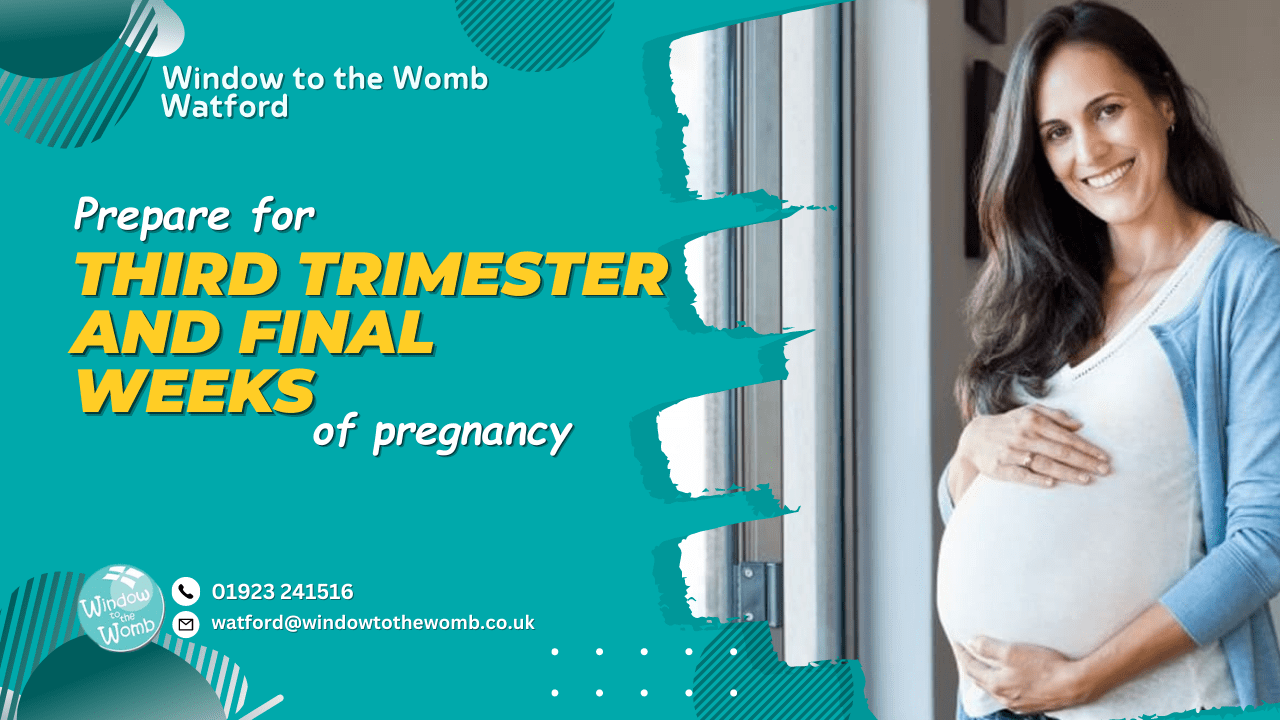 How do I prepare for the third trimester of pregnancy?