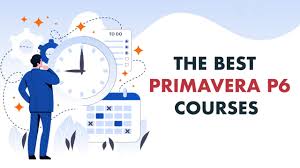 A Complete introduction Primavera P6 Training Course-BES