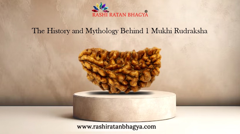 1 Mukhi Rudraksha