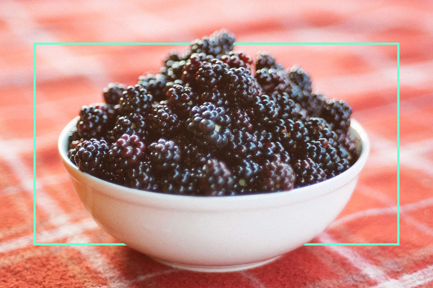 Blackberries