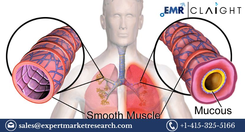 Bronchial Spasms Treatment Market Size, Bronchial Spasms Treatment Market Share