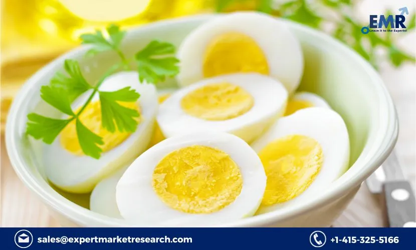 Germany Solid Egg Substitutes Market