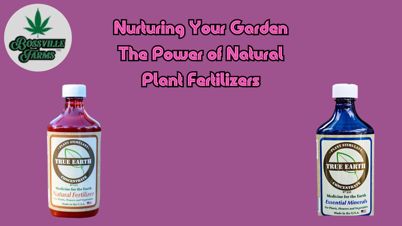 Natural Plant Fertilizers