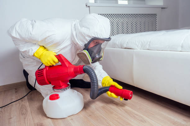 All You Need To Know About A Professional Bed Bug Exterminator