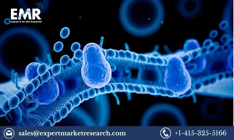 PVDF Membrane Market