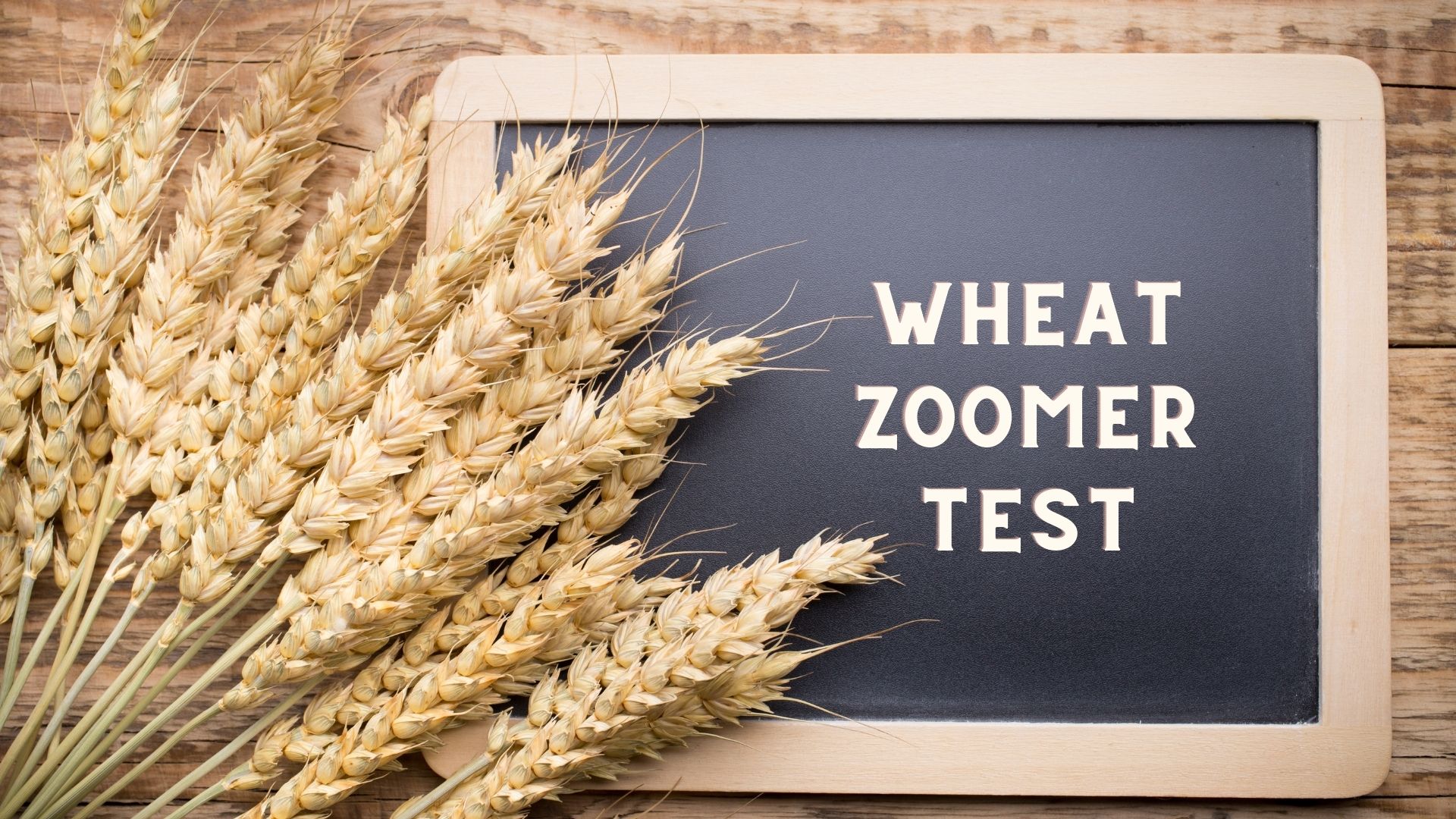 Wheat Zoomer Test