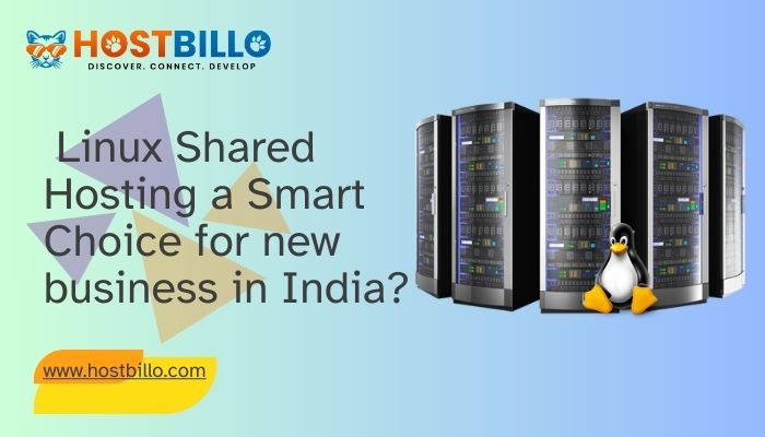 Why is Linux Shared Hosting a smart choice for new business in India
