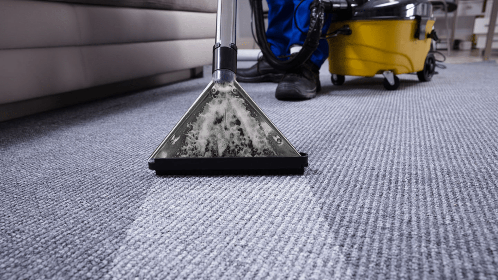 carpet cleaning