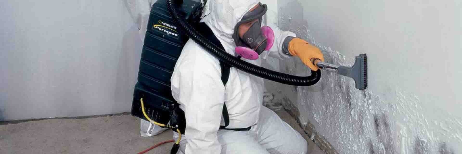 Mold Remediation