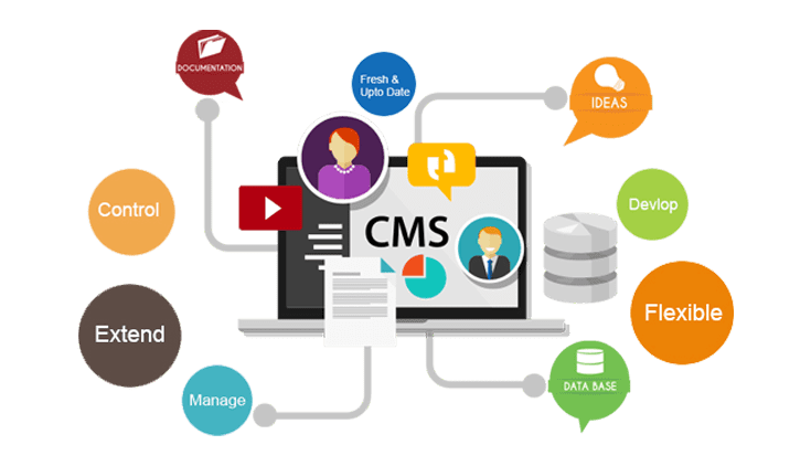 cms website development dubai