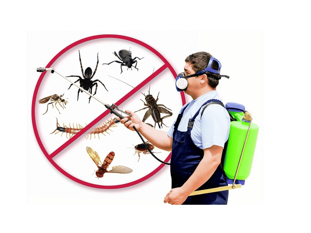 Pest Control Services