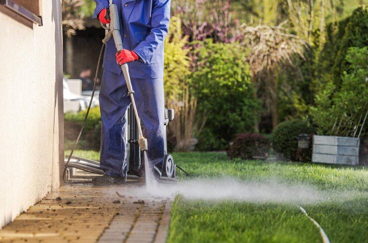 Professional roof cleaners