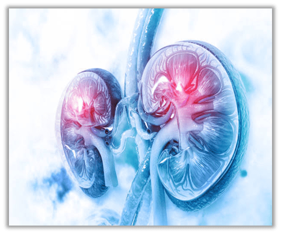 Memory Formation in Body cells